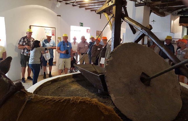 Visita guidata del Museo dell'Ulivo + Degustazione - Foto 16