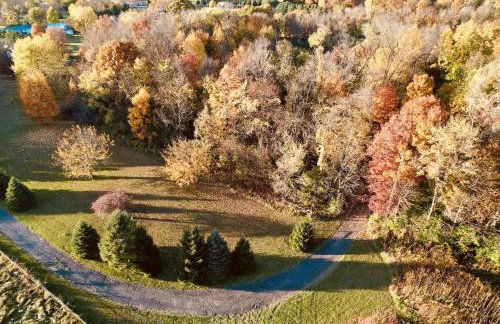 Serene Log Cabin Forest Retreat - Photo 25