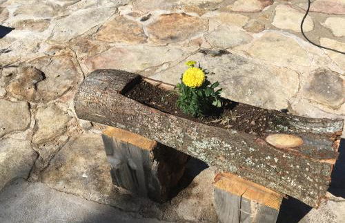 Cara norte de Gredos - Photo 56