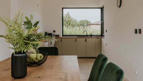 Apartamenty u Cherubinów - Foto 4, stove