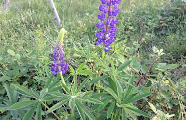 Ferienwohnung 2 Mergel in Black Forest - Foto 22