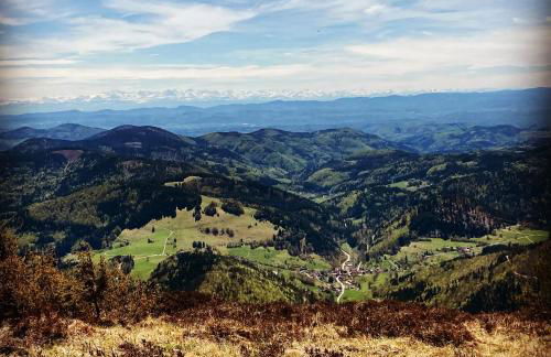 Charmante Fewo Neuenweg Hirsch - Foto 28