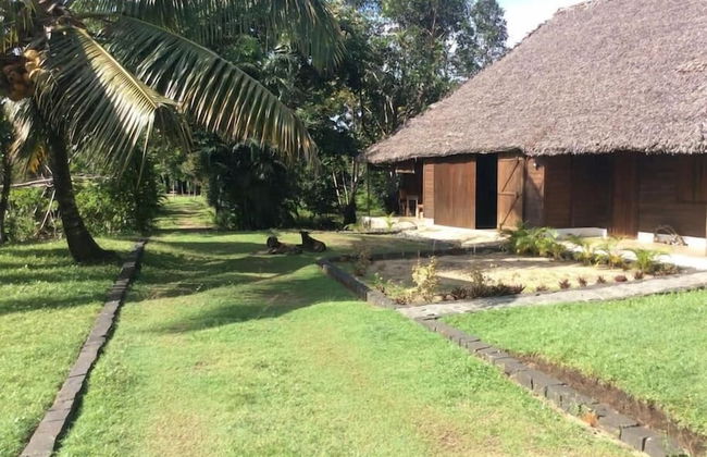 Beachfront Oasis in Mahambo, Madagascar - Chalet Retreat - Foto 15