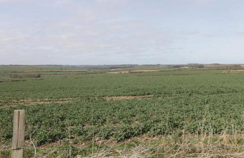 Acorn Cottage - Foto 18