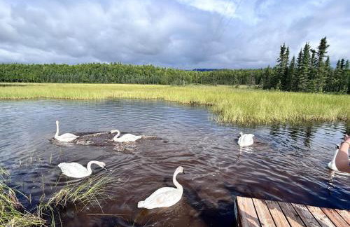Hatcher Pass Lakeside Hideaway with Hot Tub! - Foto 7