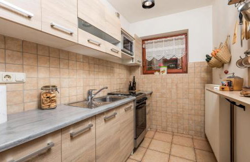 Awesome Home In Stari Laz With Kitchen - Foto 7