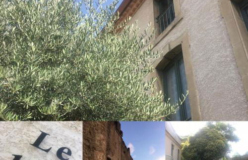 LE 139 carcassonne - Foto 18