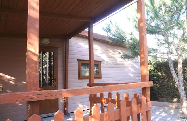 Tenuta De Fanti Agriturismo - Foto 57