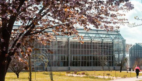 Le Pop Art- Petit nid douillet - Foto 2