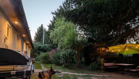 Świerkowe Ranczo Raciszewo - Foto 2