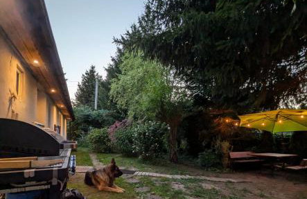 Świerkowe Ranczo Raciszewo - Foto 2