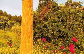 Cabana Linha Brasil - Foto 34