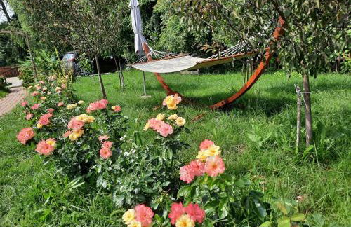 Cichosza - The Sound Of Silence - Foto 27