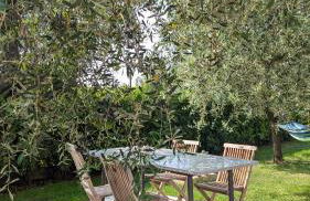 Colli di Luni - Foto 19