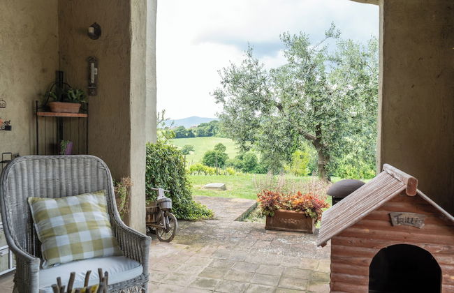 Tenuta di campagna con piscina immersa nel verde - Foto 31