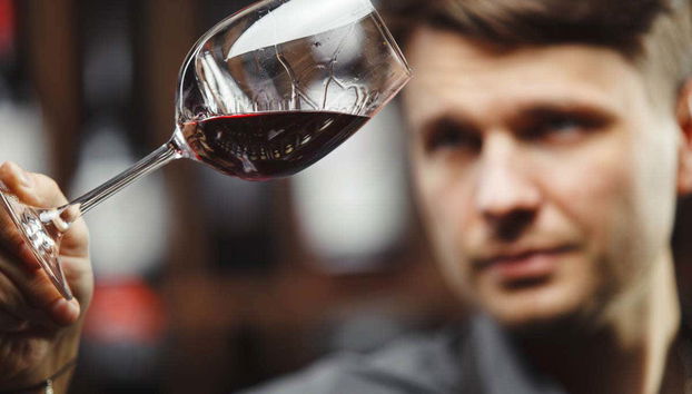 Viña Ijalba Winery Tour & Tasting - Foto 4