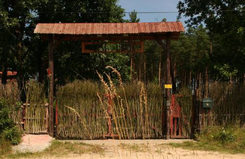 Lisi Dwór - Foto 24