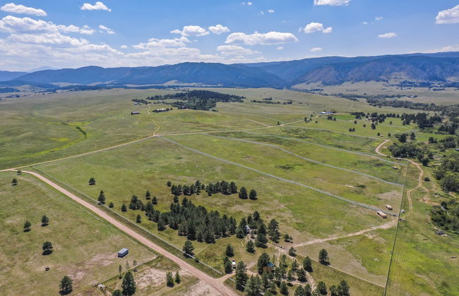 Tree Eagles Nest - Foto 45