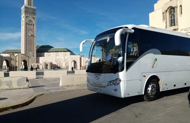 Autobus Turistici e Autonoleggio - Foto 13