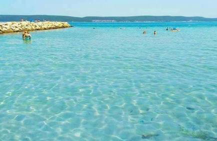 Apartman Branka - Photo 12