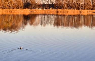 Przystanek Osłonin- całoroczny dom na wynajem - Foto 23