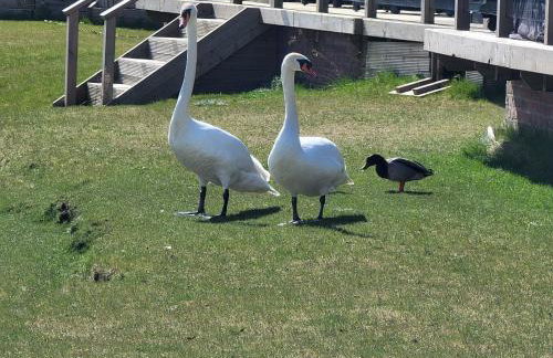 Luxury 2-Bed Lodge in Routh HotTub & Pet Friendly - Foto 7