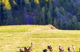 Studio tout équipé, piscine chauffée, départ skis aux pieds - Photo 27