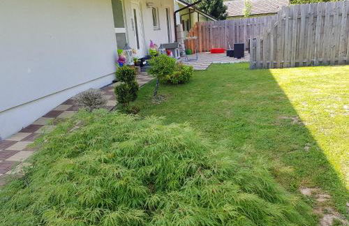 Jules Traum im Schwarzwald - Foto 47