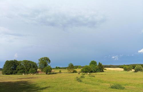 Smocze Ranczo - Foto 42