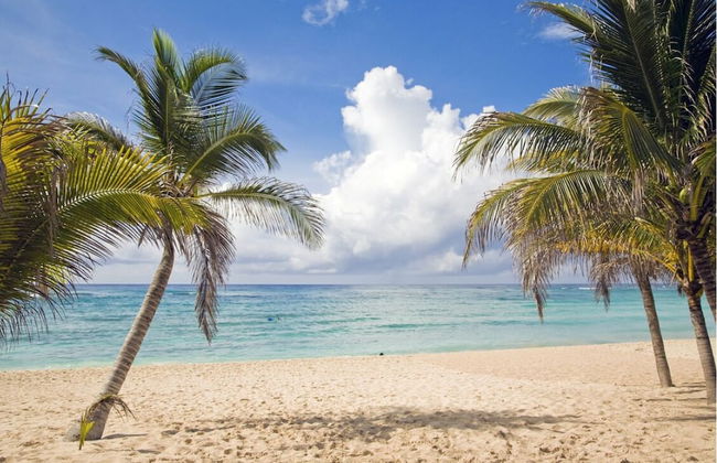 AnCasa by Ambassadors Suite - Photo 1