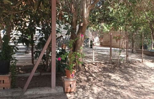 Finca Marina Turismo Rural - Foto 43