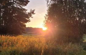 Siedlisko Przy Lesie Alpaka 3 - Foto 24