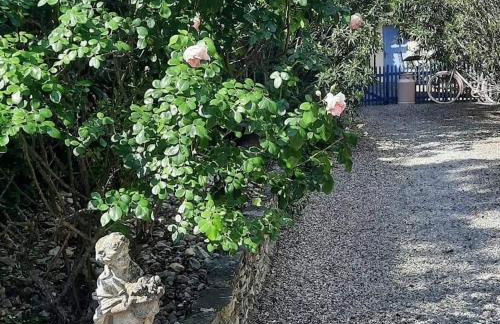 Gite Au fond du jardin - Foto 19