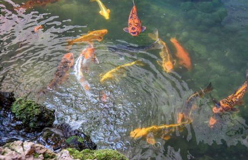 Island Sands 210 · IS 210 OceanFront Condo Expansive Ocean Views - Foto 72