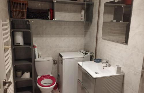 T2 rénové avec parking privé à proximité de LYON - Foto 11