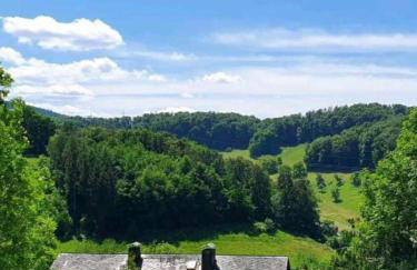 Odenwald-Lodge mit Infrarotsauna und E-Ladestation im Naturpark Odenwald "Haus Himmelblau" - Foto 18