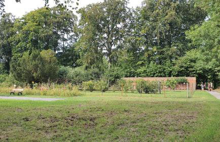 Haus am Meer bitte sehr ! - Foto 48