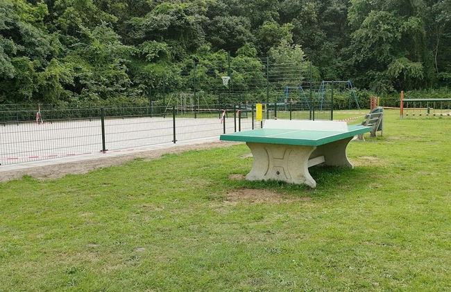 Holiday Home Near Oosteruine Lake & North Sea - Photo 28