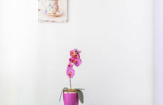 Casa La Tetipa - Foto 11