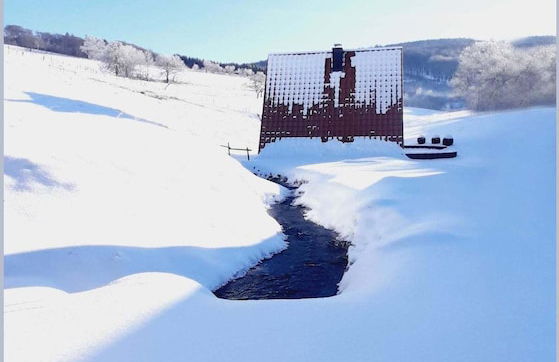 Magnific Holiday Home in Untervalme near Ski Area - Photo 21