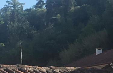 Castle, Terrace and Relax - Foto 20