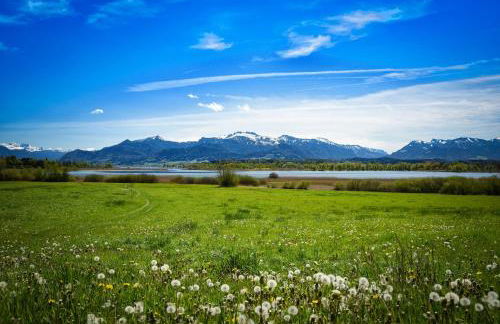 Landhaus Koch - Foto 12