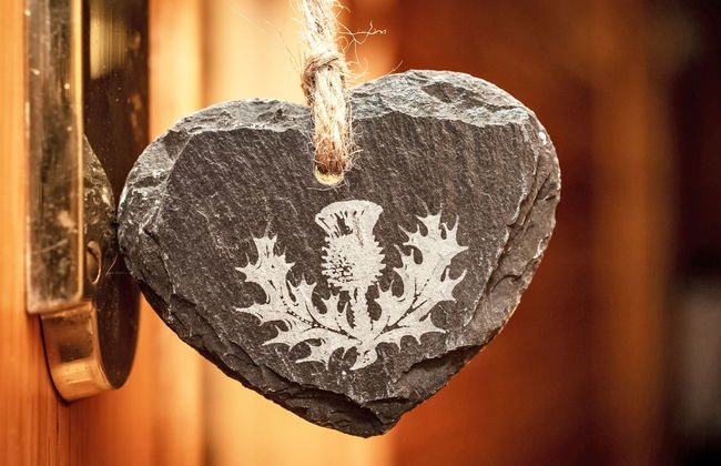 Achmony Number 11 - Foto 13