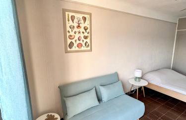 A 20min d AJACCIO, Grand studio 3 personnes - pieds dans l'eau - accès direct plage - vue mer exceptionnelle - Foto 5