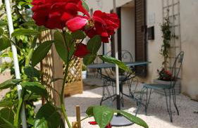 M comme Meursault - Foto 9