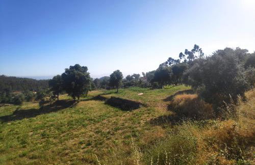 Casa de Celebrar a Vida - Foto 42