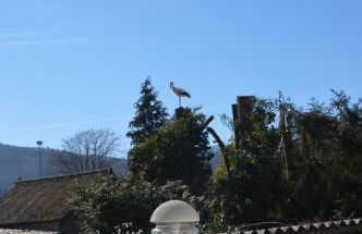 Gîte Les Glycines 68230 TURCKHEIM - Foto 6