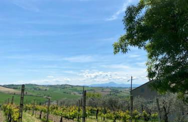 Antica Colombaia Apartments - Foto 41