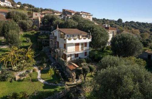 Il Vicolo Palinuro - Photo 2