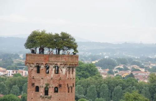 Tenuta Daussie' - Foto 12